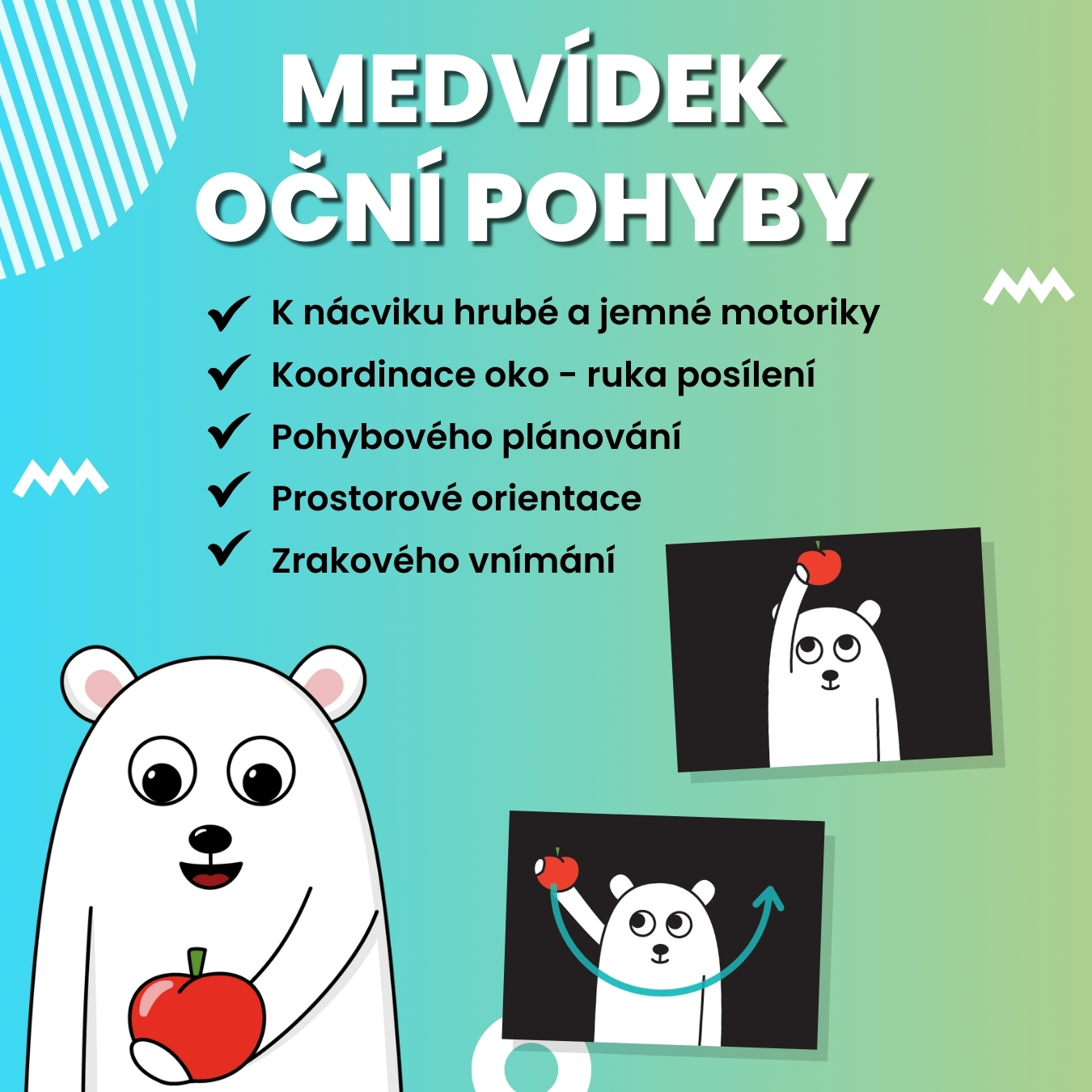 E-shop CZ - medvídek oční pohyby